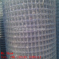 304 keluli tahan karat 10mmX10mm crimped wire mesh